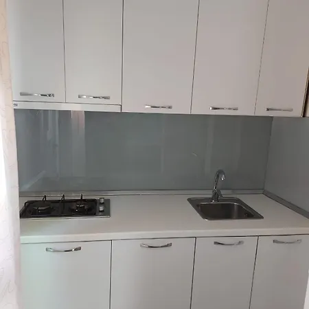 Triad 山林小屋
