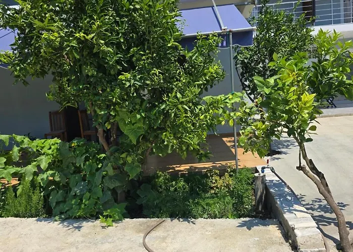 Triad Деревянный коттедж Влёра